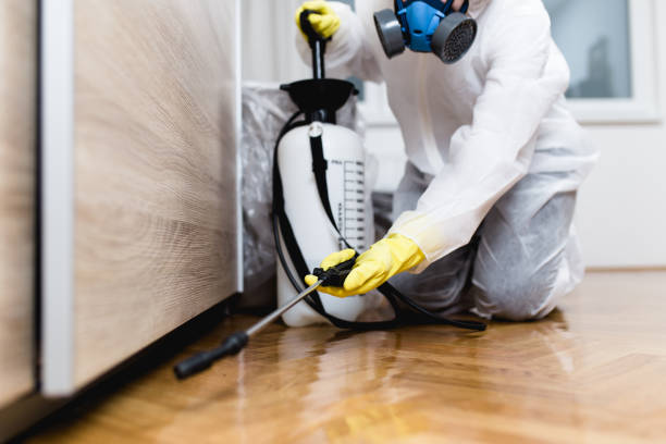 Best Wasp Removal Services  in Anamosa, IA