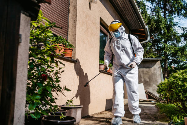 Best Termite Control Services  in Anamosa, IA
