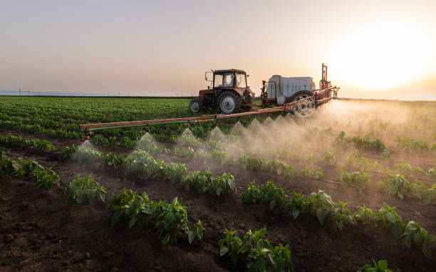 Best Best Pest Control Companies  in Anamosa, IA