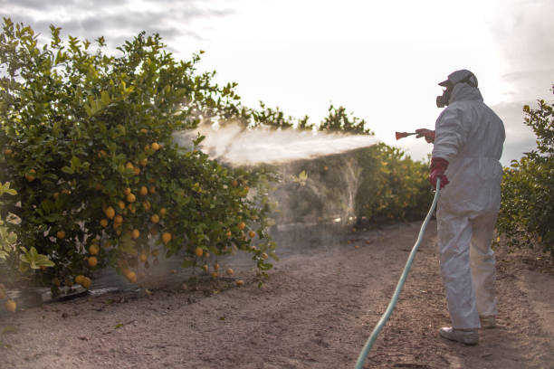 Best Local Pest Control Services  in Anamosa, IA