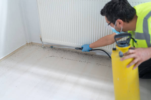 Trusted Anamosa, IA Pest Control Experts