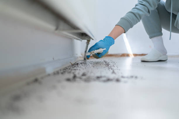 Best Pest Removal Services  in Anamosa, IA